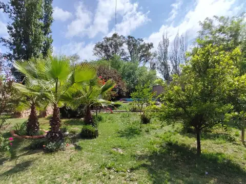 Ruta 50 3000