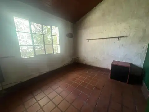 Wierna 100