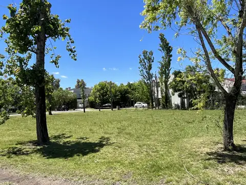 Terreno en Venta en Campo Grande, USD 180.000