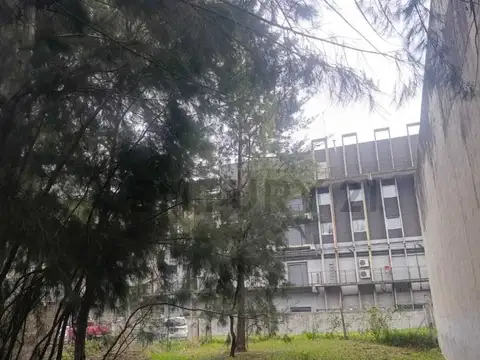 los manzanos y las magnolias 100