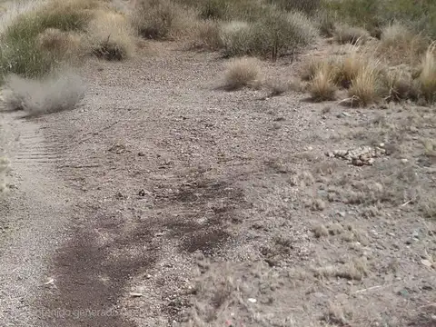 VENTA TERRENO 1 HA LOS CONDORES POTRERILLOS