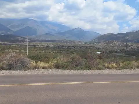 Terreno en Venta de 10000,0 m2