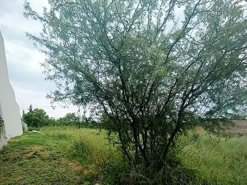 Terreno en Venta de 525,0 m2