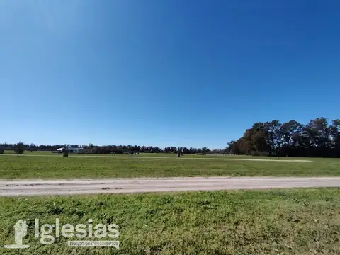 ruta 205
