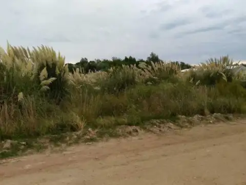Terreno en Venta en Coronel Dorrego, USD 30.500
