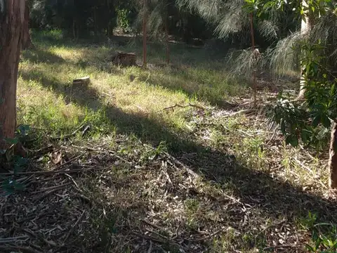 Terreno en Venta 50  mts Frente