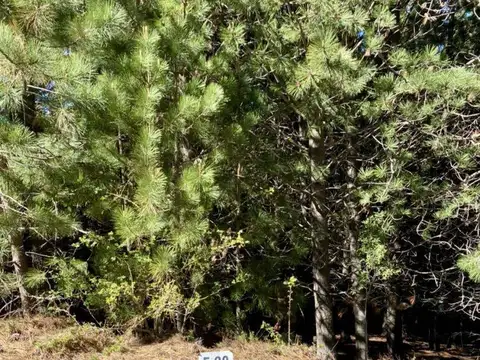 Terreno en Venta en Chapelco Golf & Resort, USD 120.000