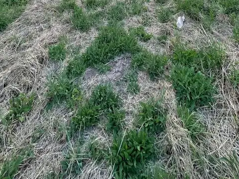 Terreno en Venta en La Plata, USD 15.000