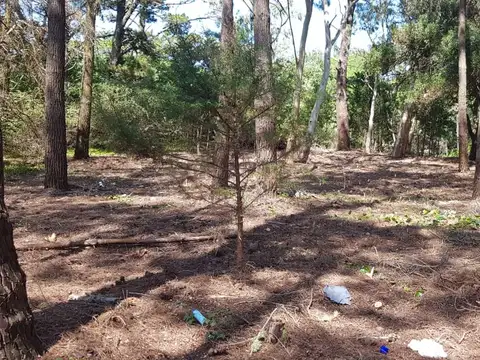 Terreno en Venta de 1166,0 m2