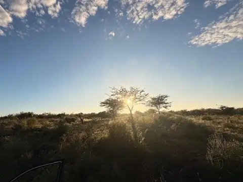 Campo en Venta de 12  ha