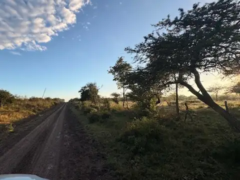 Campo en Venta de 12  ha