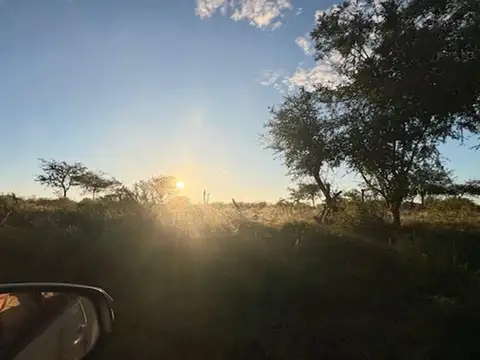 Campo en Venta Chacra