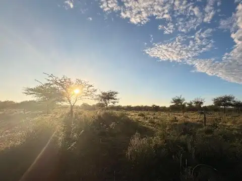 Campo en Venta Chacra