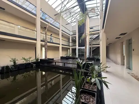Oficina en Alquiler 26 años