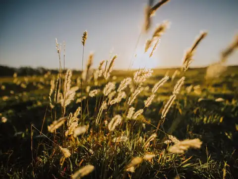 Av. Jorge Newbery 3050