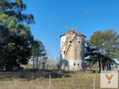 El Molino