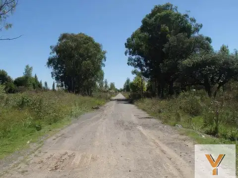 El Molino