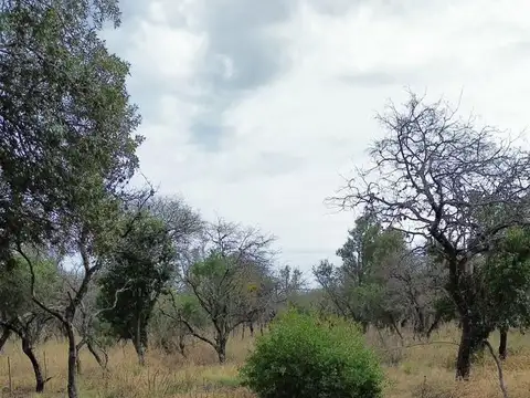 Terreno en Venta de 1100,0 m2