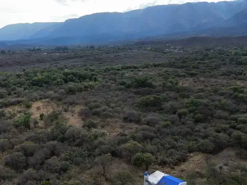 Terreno en Venta 67  mts Fondo