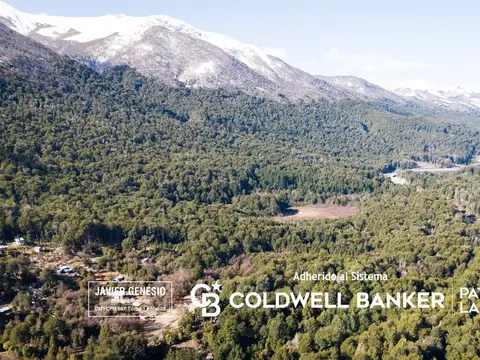 VENTA Lote/Terreno 3 hectáreas Apto Desarrollo Lomas de Correntoso Villa La Angostura