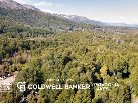 VENTA Lote/Terreno 3 hectáreas Apto Desarrollo Lomas de Correntoso Villa La Angostura