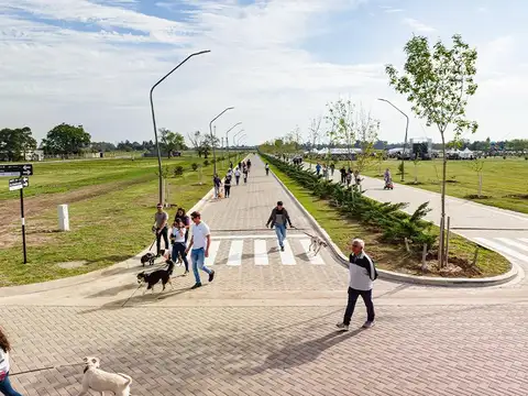 EcoTierra
