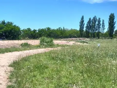 Terreno en Venta de 31039,0 m2