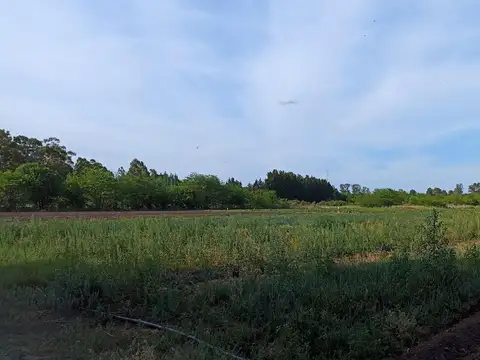 Campo en Venta con Alambrado