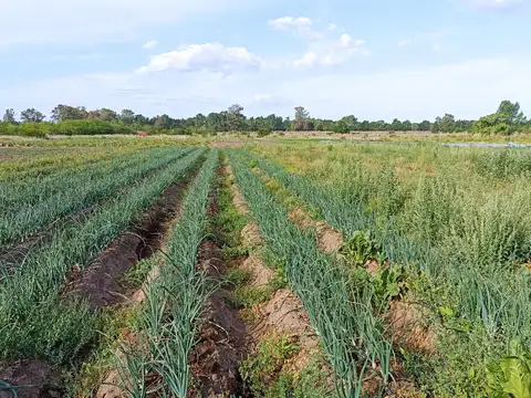 Campo en Venta con Alambrado