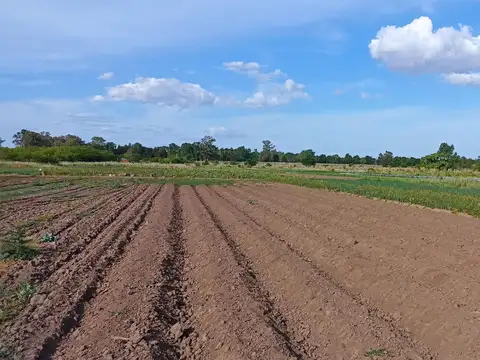 14 HA PROXIMO A Cº  PINARES