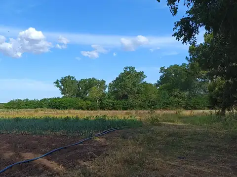 14 HA PROXIMO A Cº  PINARES