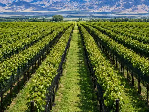 Campo en Venta de 3,60  ha