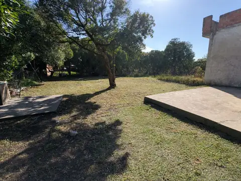 Calle 459 900
