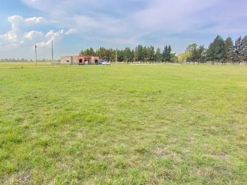 Arturo Capdevilla Fincas Joven