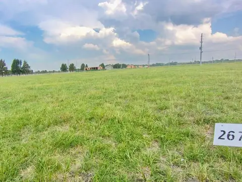 VENTA DE TERRENOS CONTIGUOS 1300mts2 FINCAS JOVEN