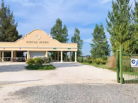 Arturo Capdevilla Fincas Joven