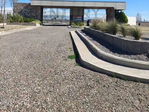 Terreno en Venta 19,61  mts Fondo