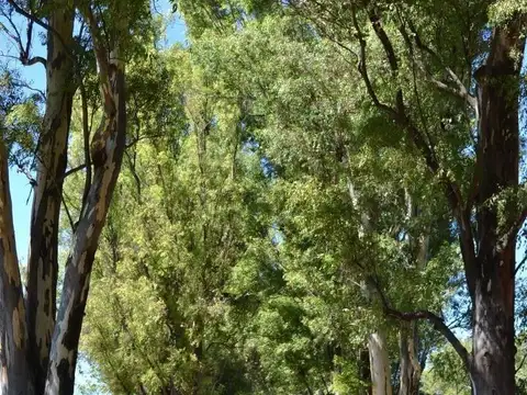 Terreno en Venta de 1000,0 m2