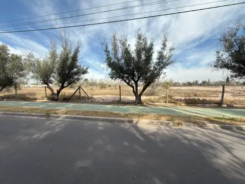 Terreno - Chacras De Coria
