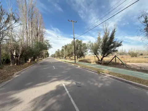 Terreno en Venta de 500,0 m2