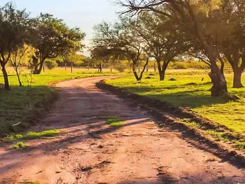 Terreno en Venta 35,50  mts Fondo