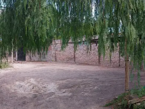 Terreno en Alquiler de 1550,0 m2