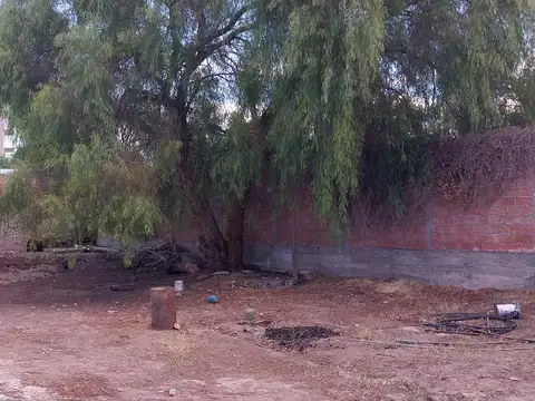 Avenida Ignacio de la Rosa Oeste 1200