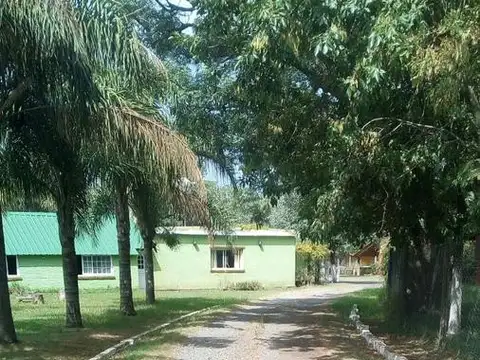 LUIS PALACIOS