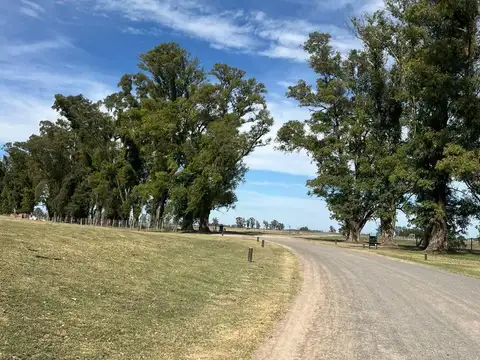 Ruta 6 Km 142