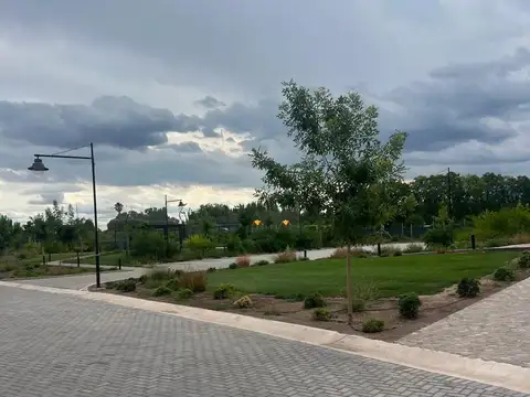 Terreno en Venta de 728,0 m2