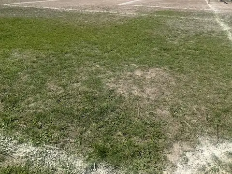 LOTE EN VENTA ATRAS DE  YAGUAR, CERCA AVDA PARAGUA