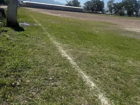 Terreno en Venta de 10003,0 m2