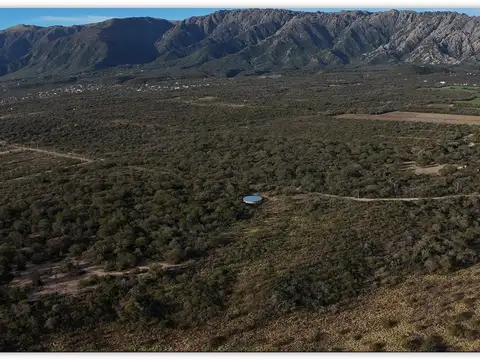 Cortaderas, Campo 56,58 Has a 2,5 Kms de ruta 1