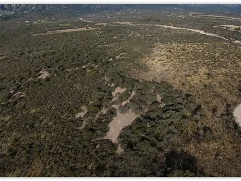 Campo en Venta Agrícola